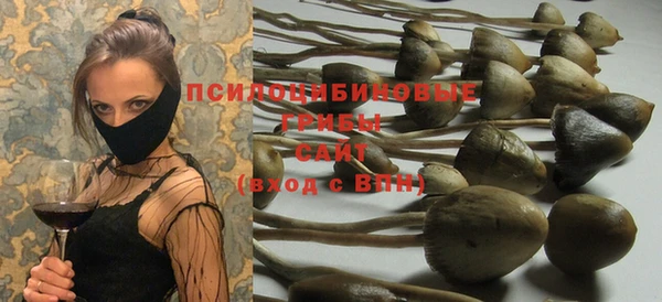 сатива Балахна