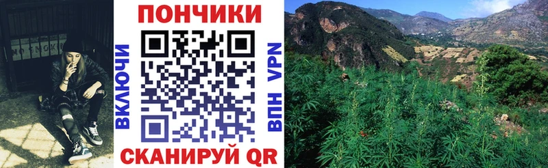 Купить закладки  Сурск  Бошки марихуана OG Kush 